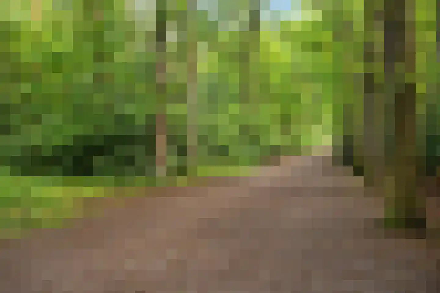 Elzenlaan 11 Bilthoven thumbnail 49