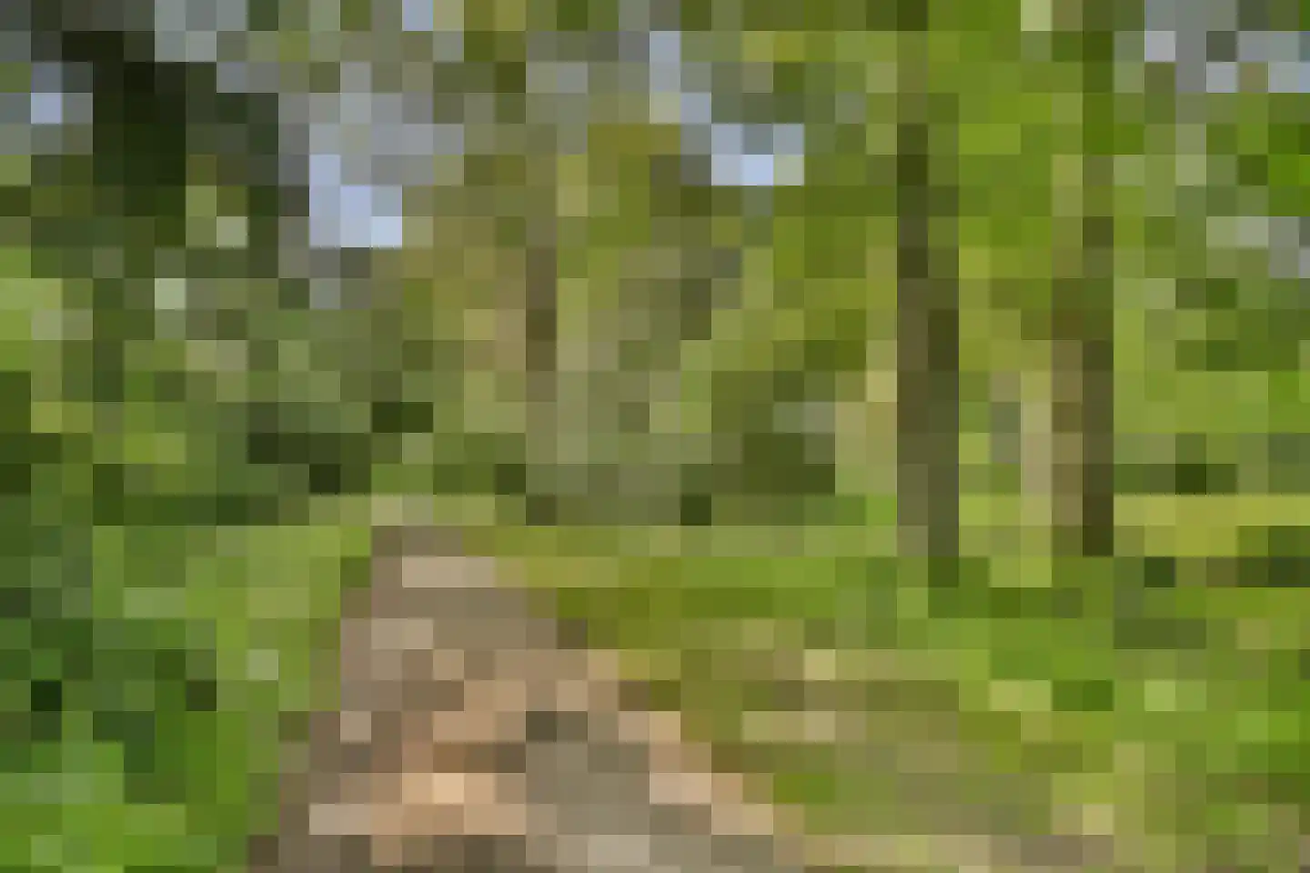 Elzenlaan 11 Dordrecht thumbnail 37