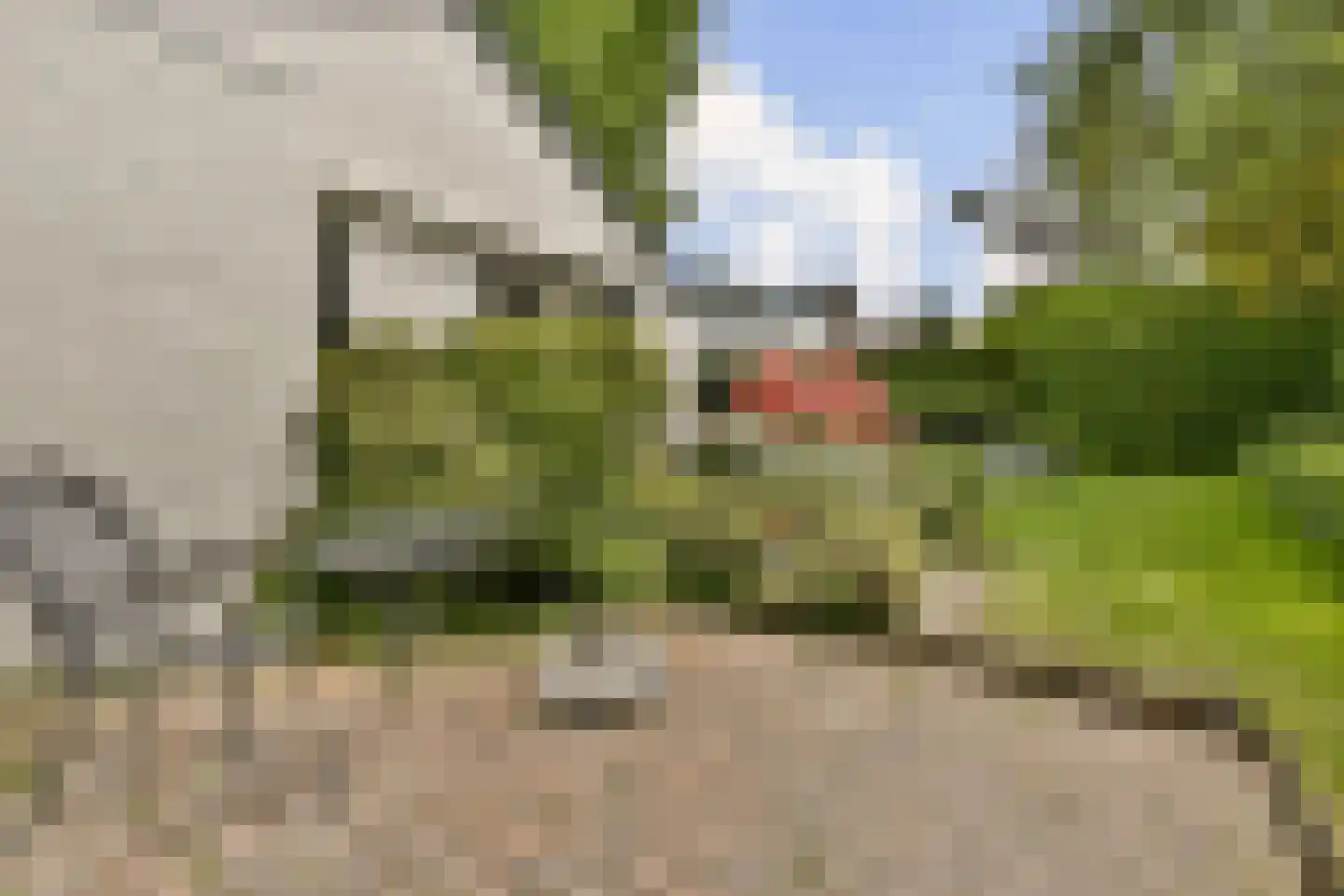 Elzenlaan 11 Dordrecht thumbnail 5