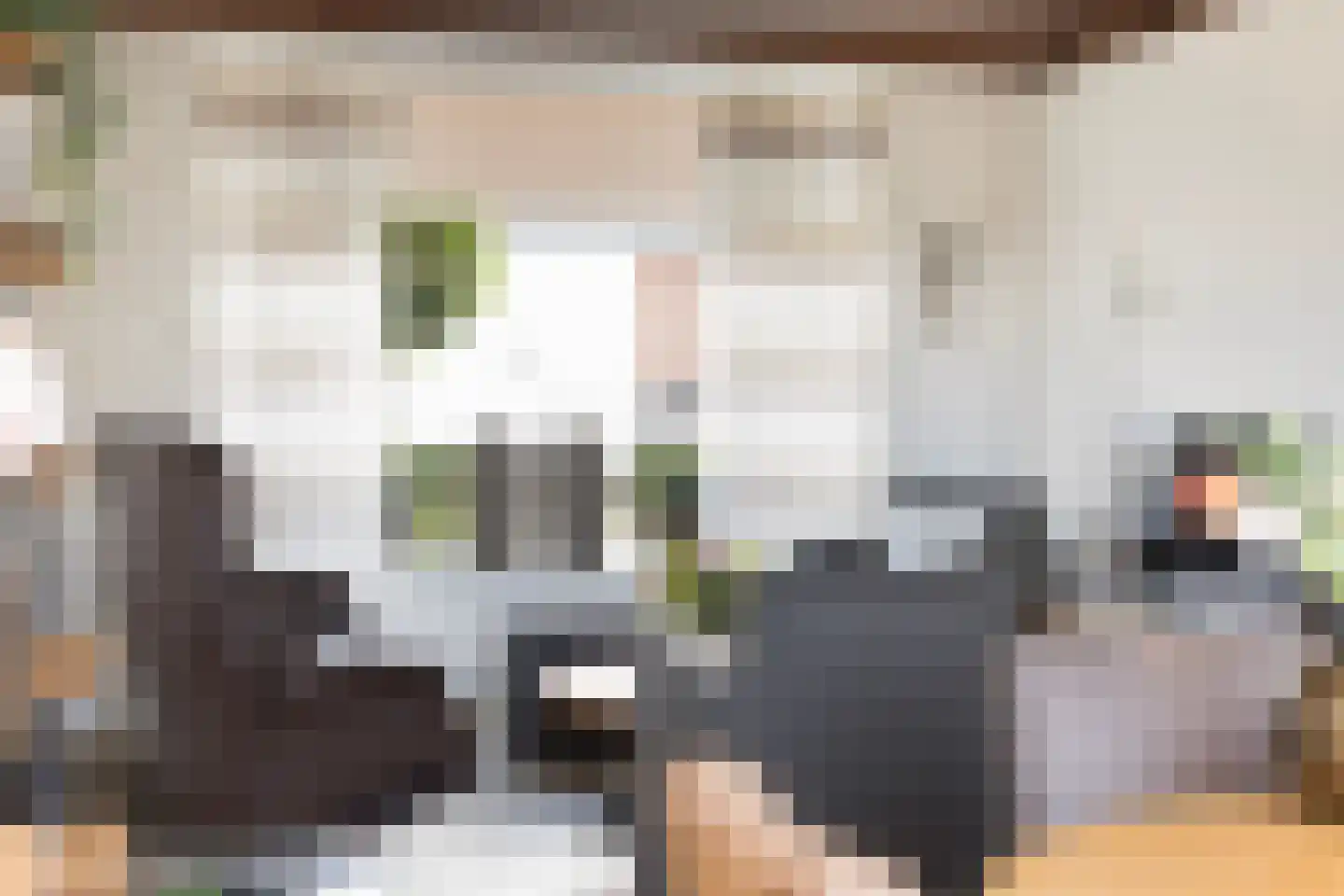 Elzenlaan 11 Klaaswaal thumbnail 11