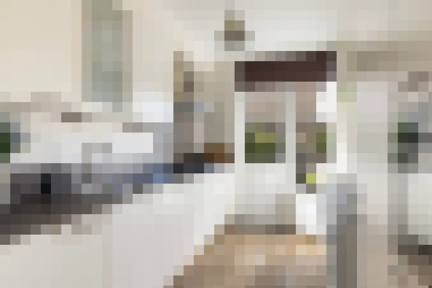 Elzenlaan 11 Klaaswaal thumbnail 13