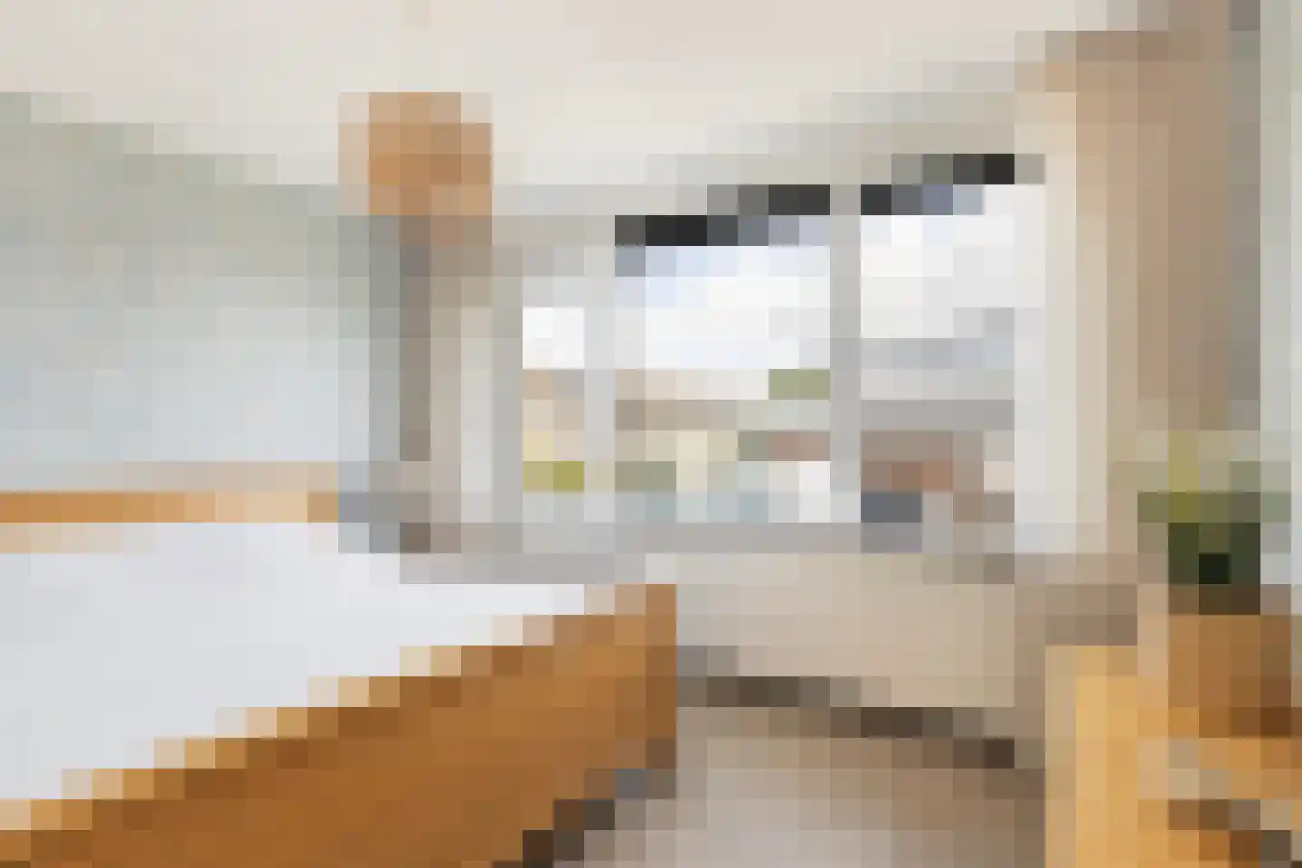 Elzenlaan 11 Klaaswaal thumbnail 19