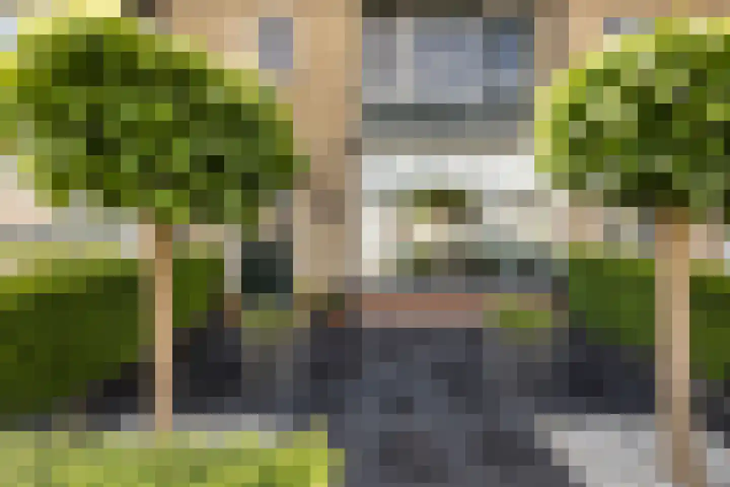 Elzenlaan 11 Klaaswaal foto 2