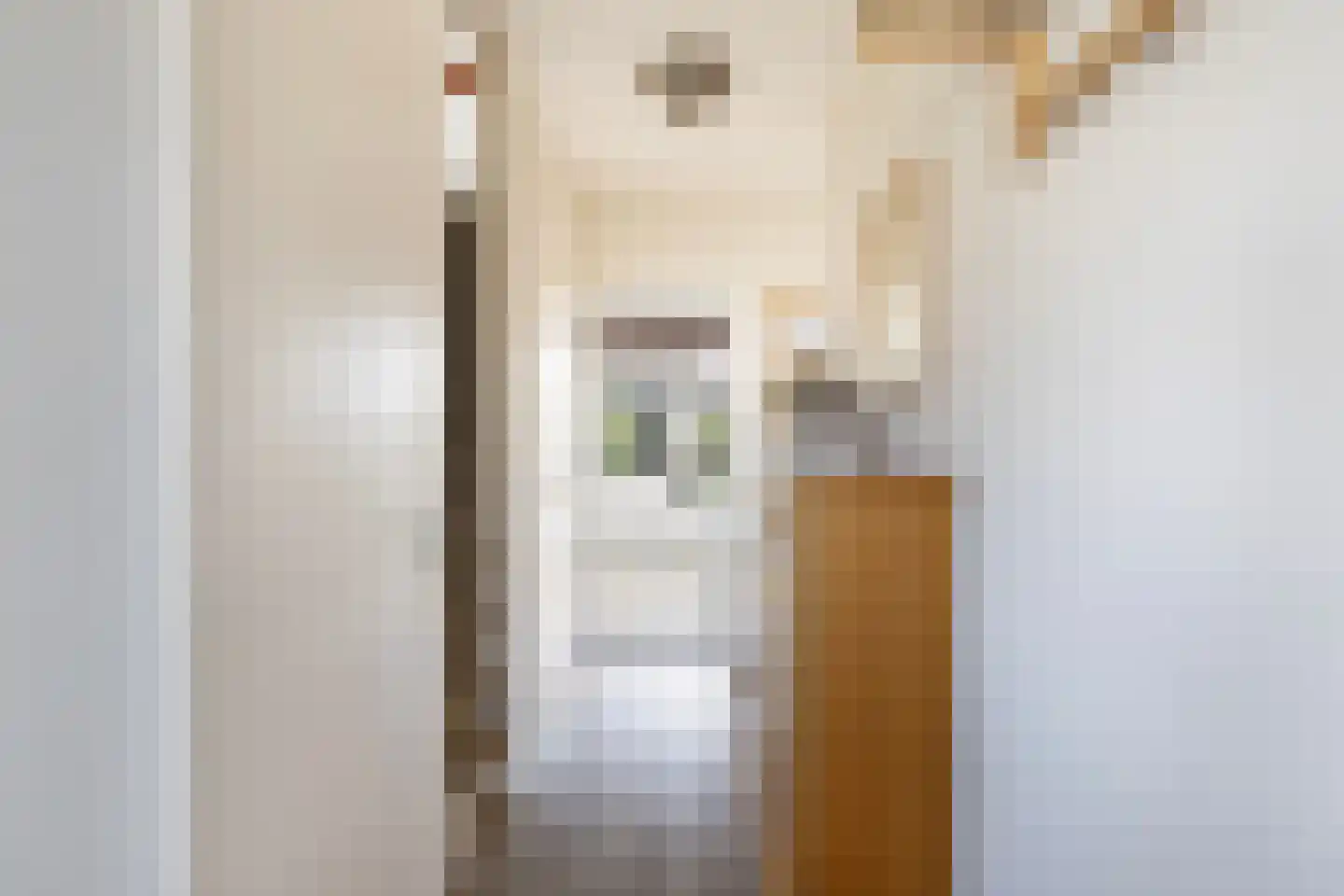 Elzenlaan 11 Klaaswaal foto 3