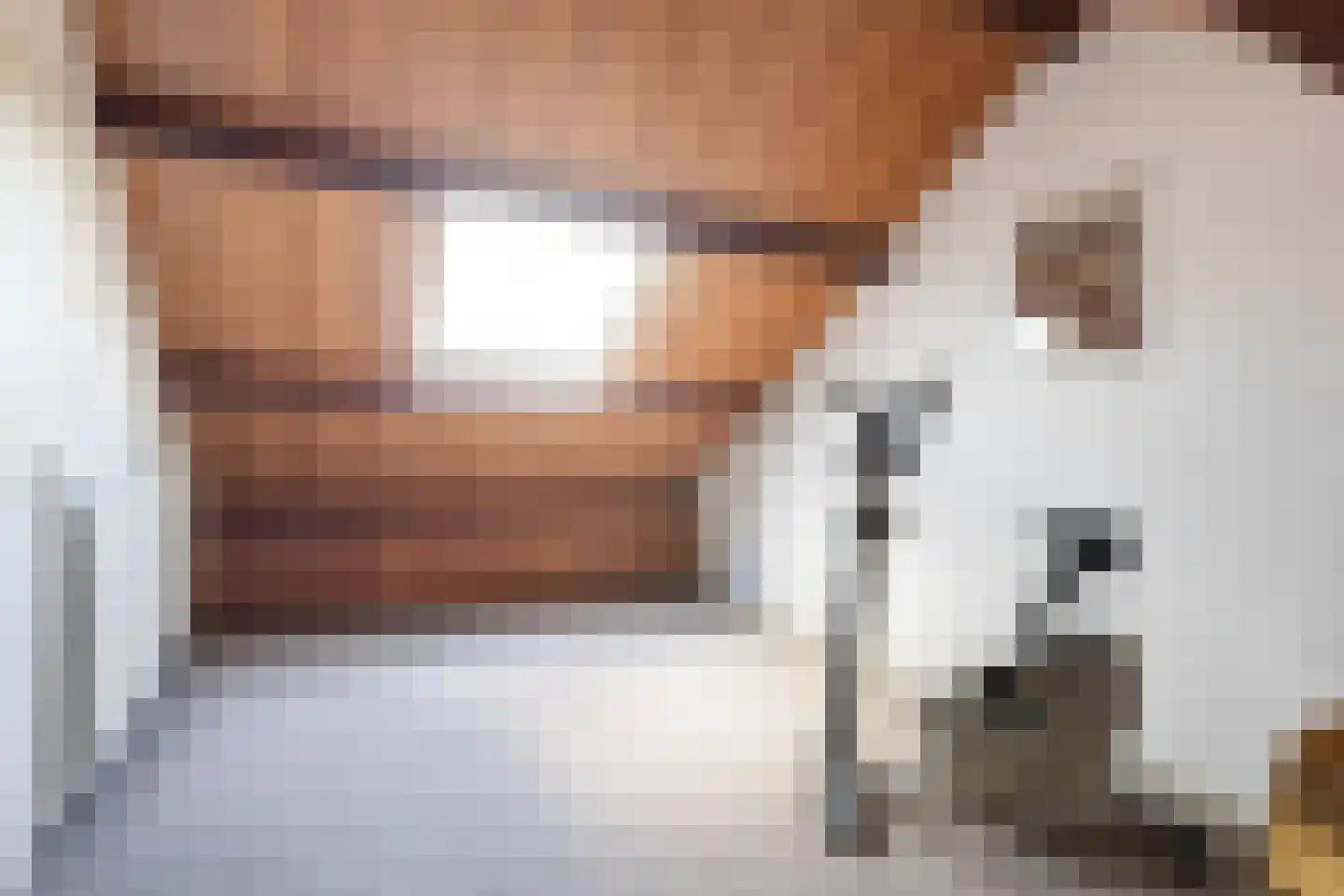 Elzenlaan 11 Klaaswaal thumbnail 31