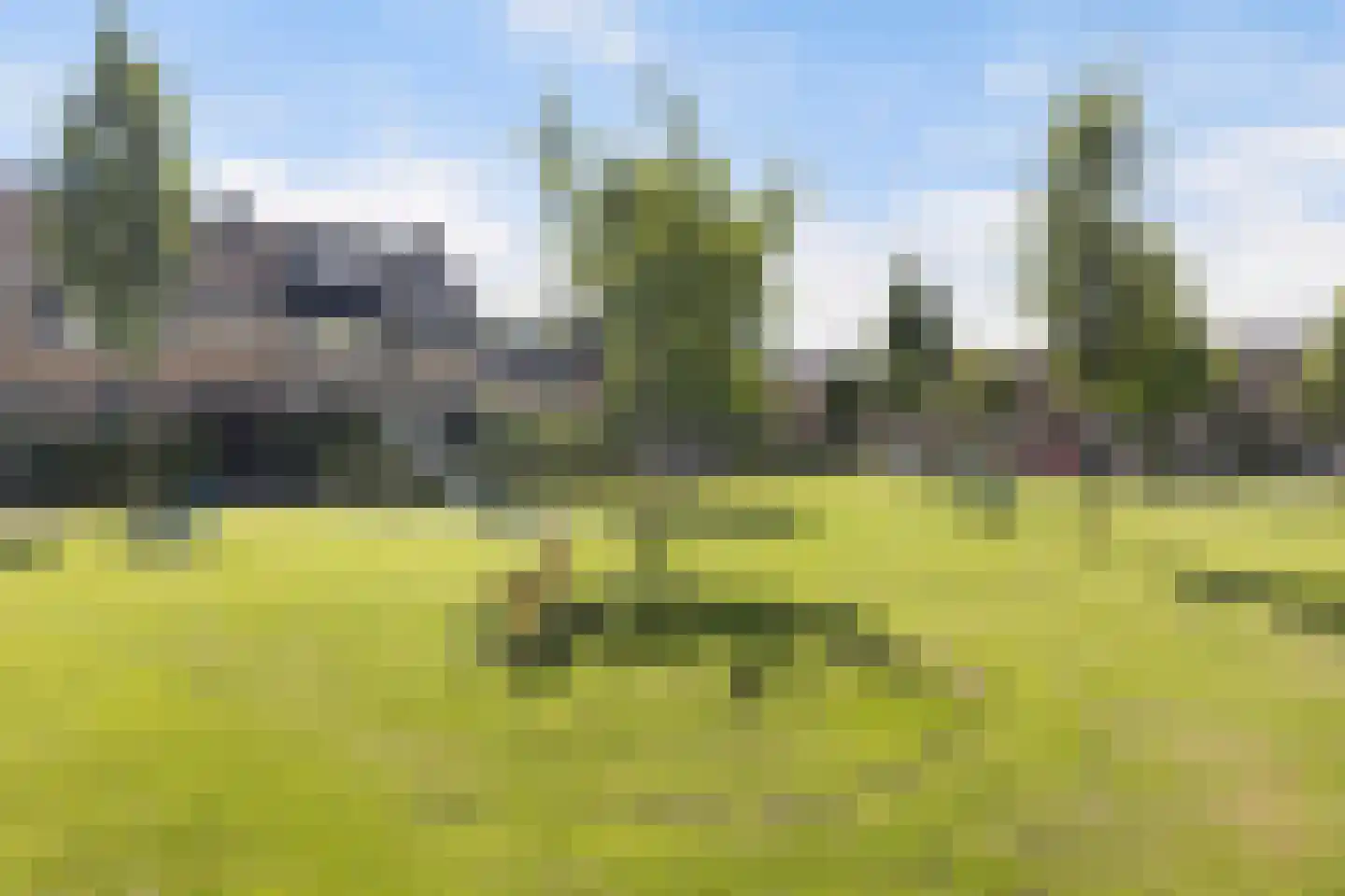 Elzenlaan 11 Klaaswaal thumbnail 40