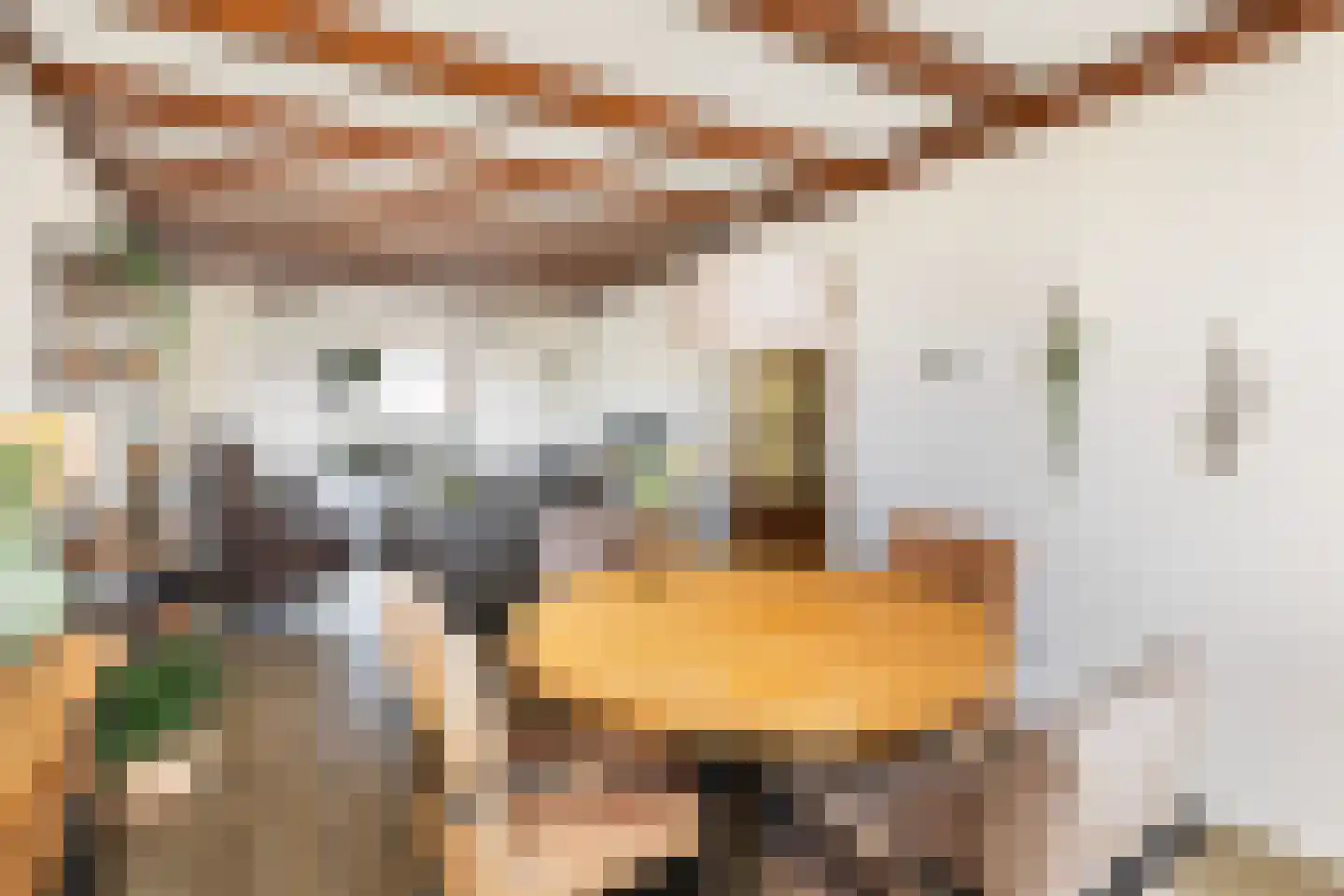Elzenlaan 11 Klaaswaal thumbnail 8