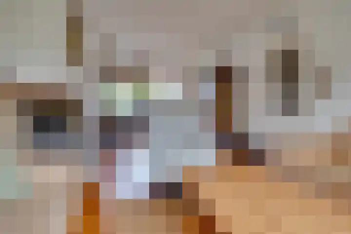 Elzenlaan 11 Loosdrecht thumbnail 6