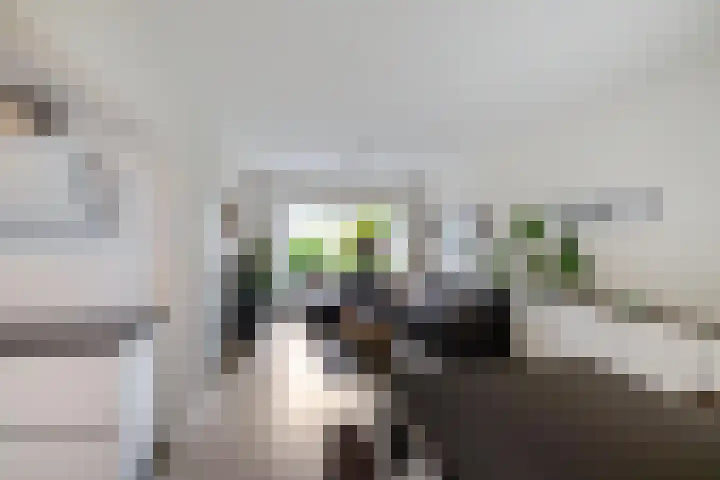Elzenlaan 111 Groningen thumbnail 10