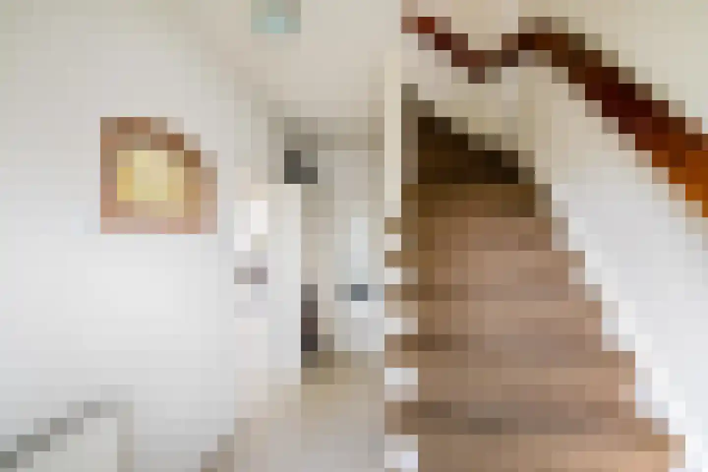 Elzenlaan 111 Groningen thumbnail 19