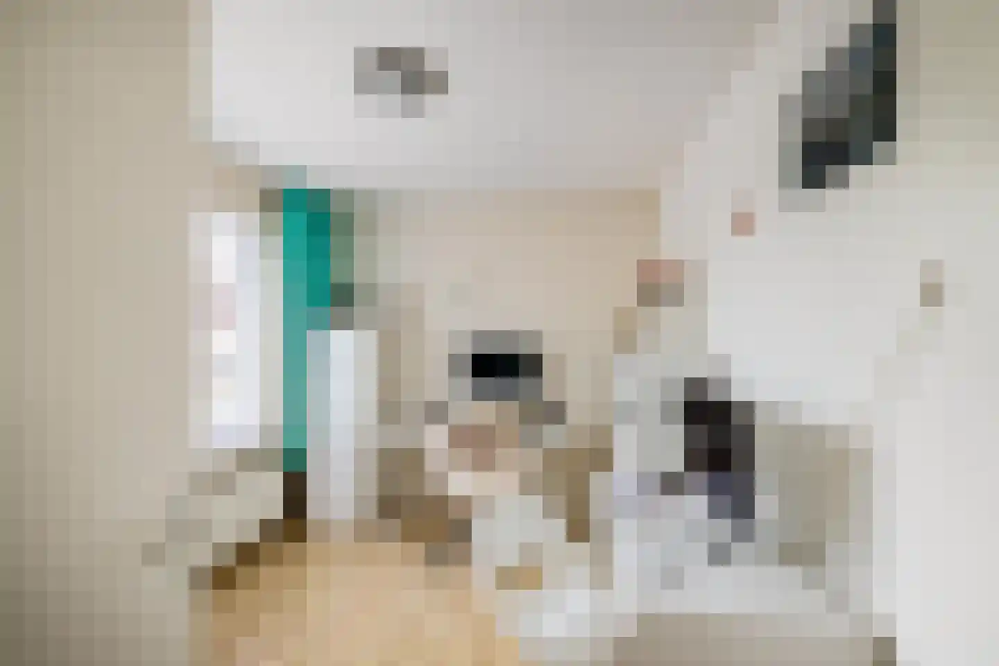 Elzenlaan 111 Groningen thumbnail 21
