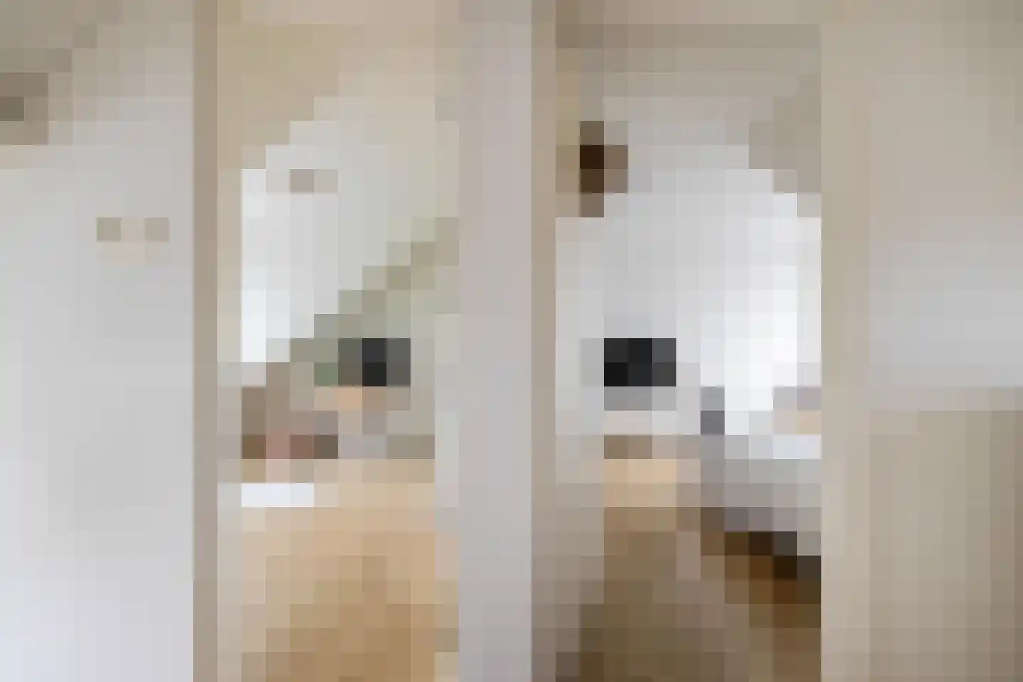 Elzenlaan 111 Groningen thumbnail 28