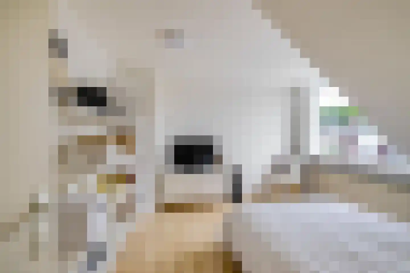 Elzenlaan 111 Groningen thumbnail 31