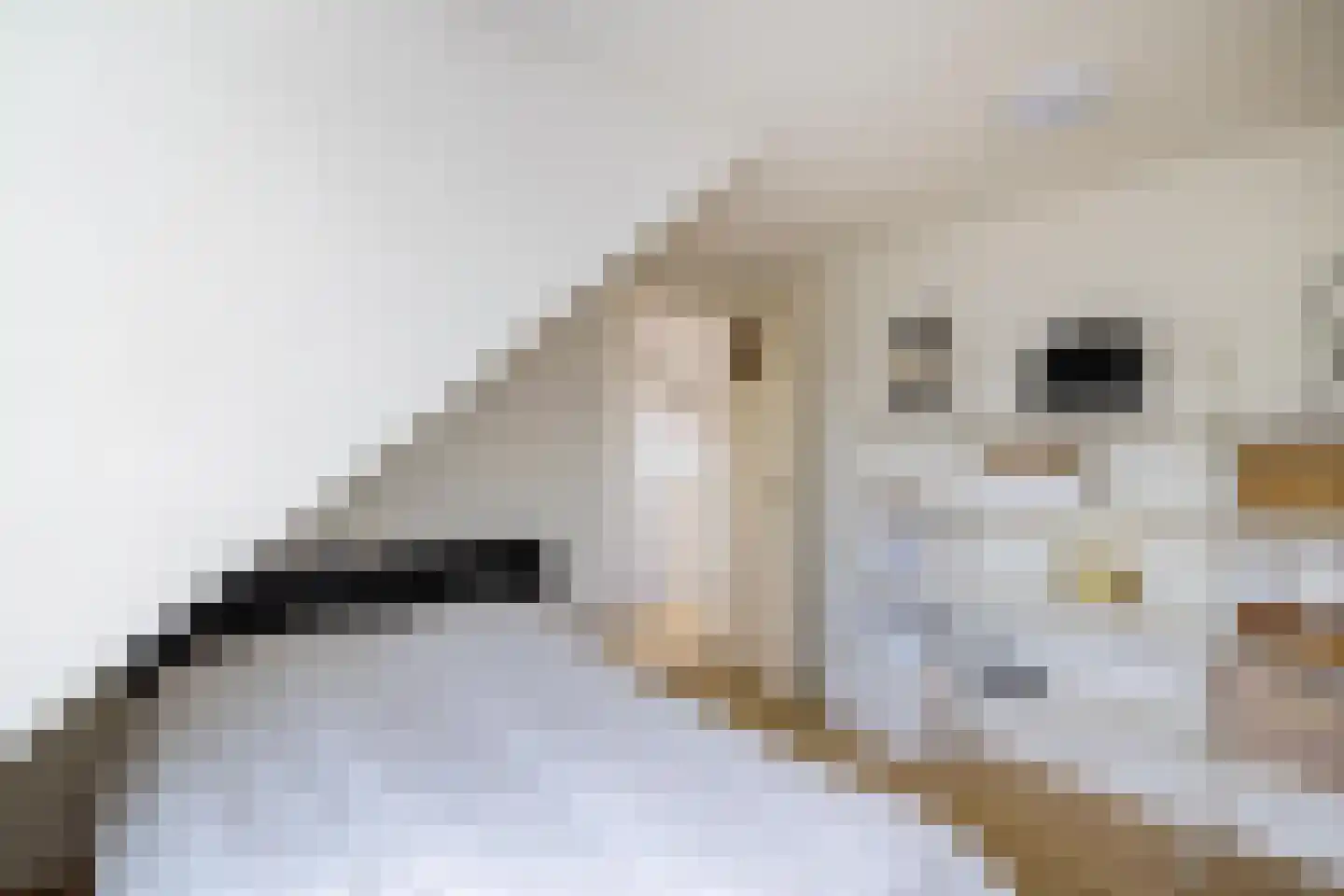 Elzenlaan 111 Groningen thumbnail 32