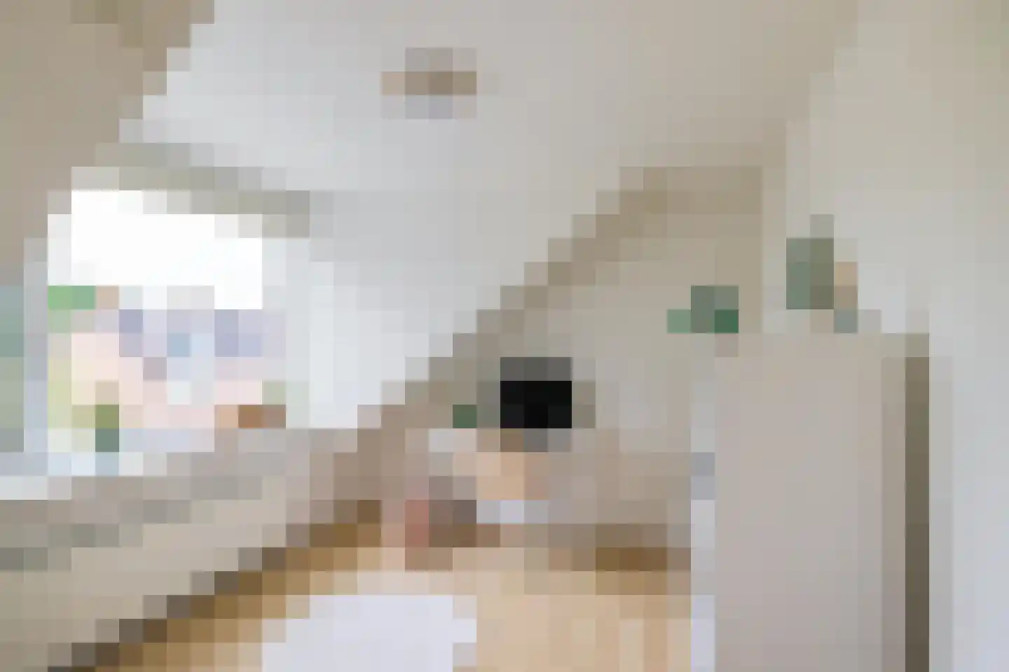 Elzenlaan 111 Groningen thumbnail 33