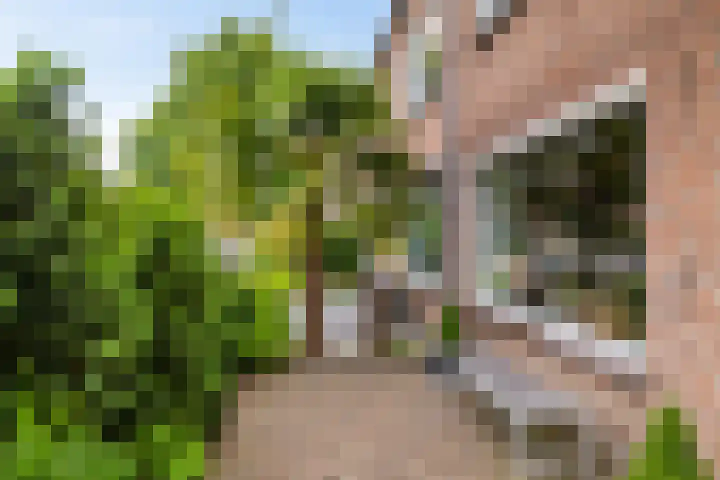 Elzenlaan 111 Groningen thumbnail 6