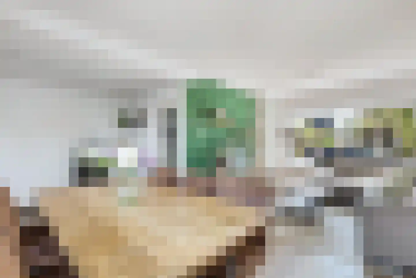 Elzenlaan 12 Sint Pancras thumbnail 10