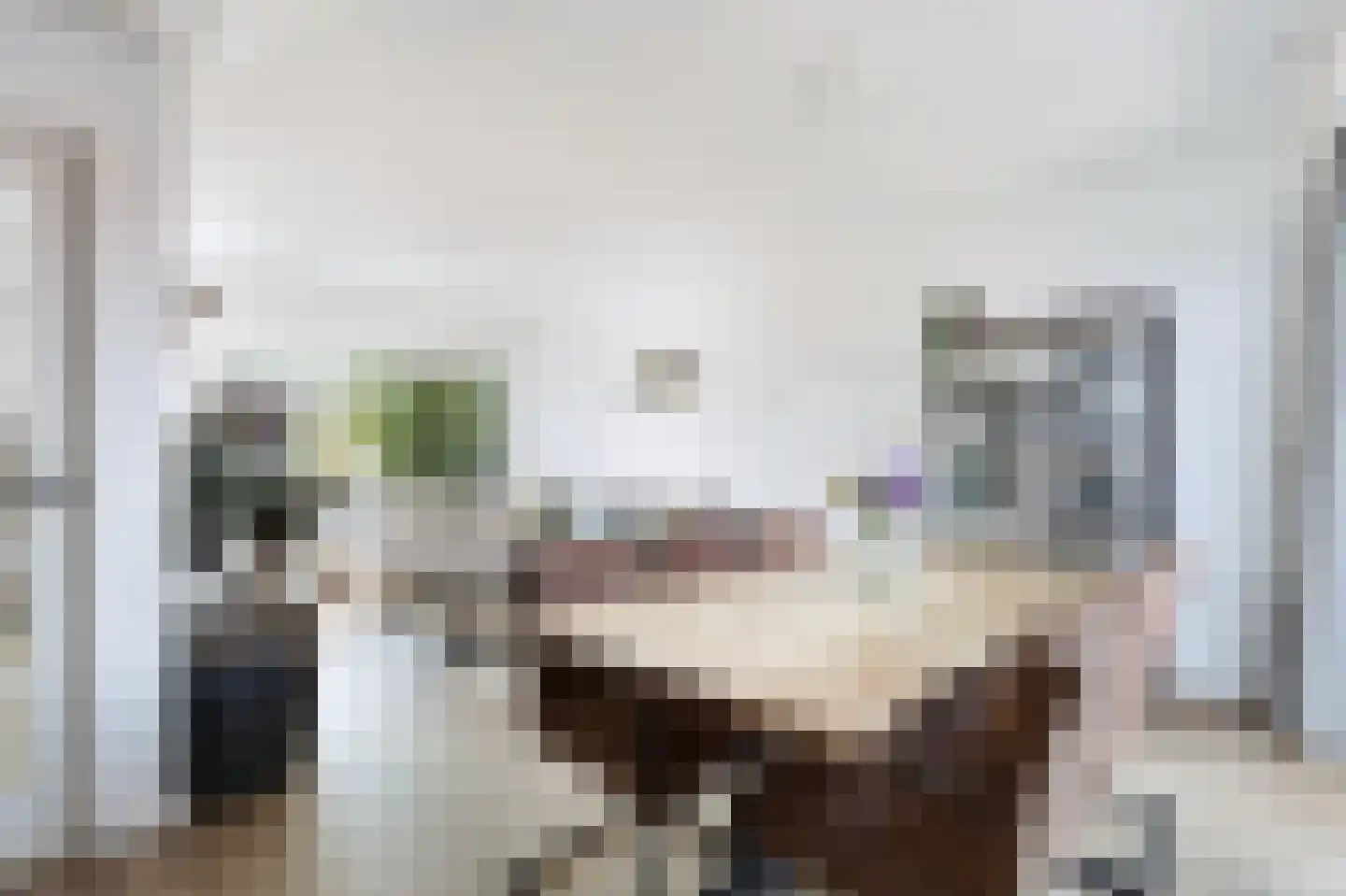 Elzenlaan 12 Sint Pancras thumbnail 12