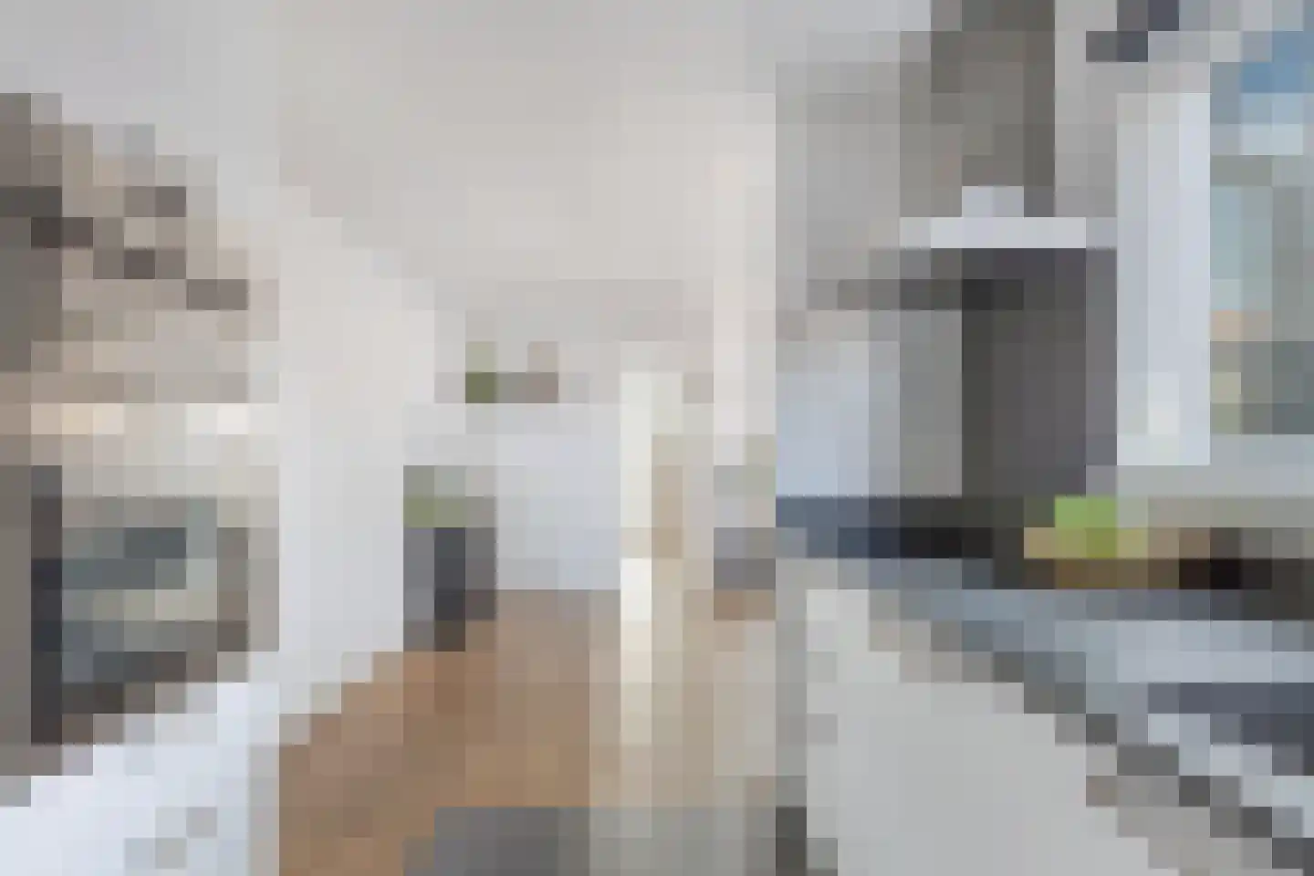 Elzenlaan 12 Sint Pancras thumbnail 15