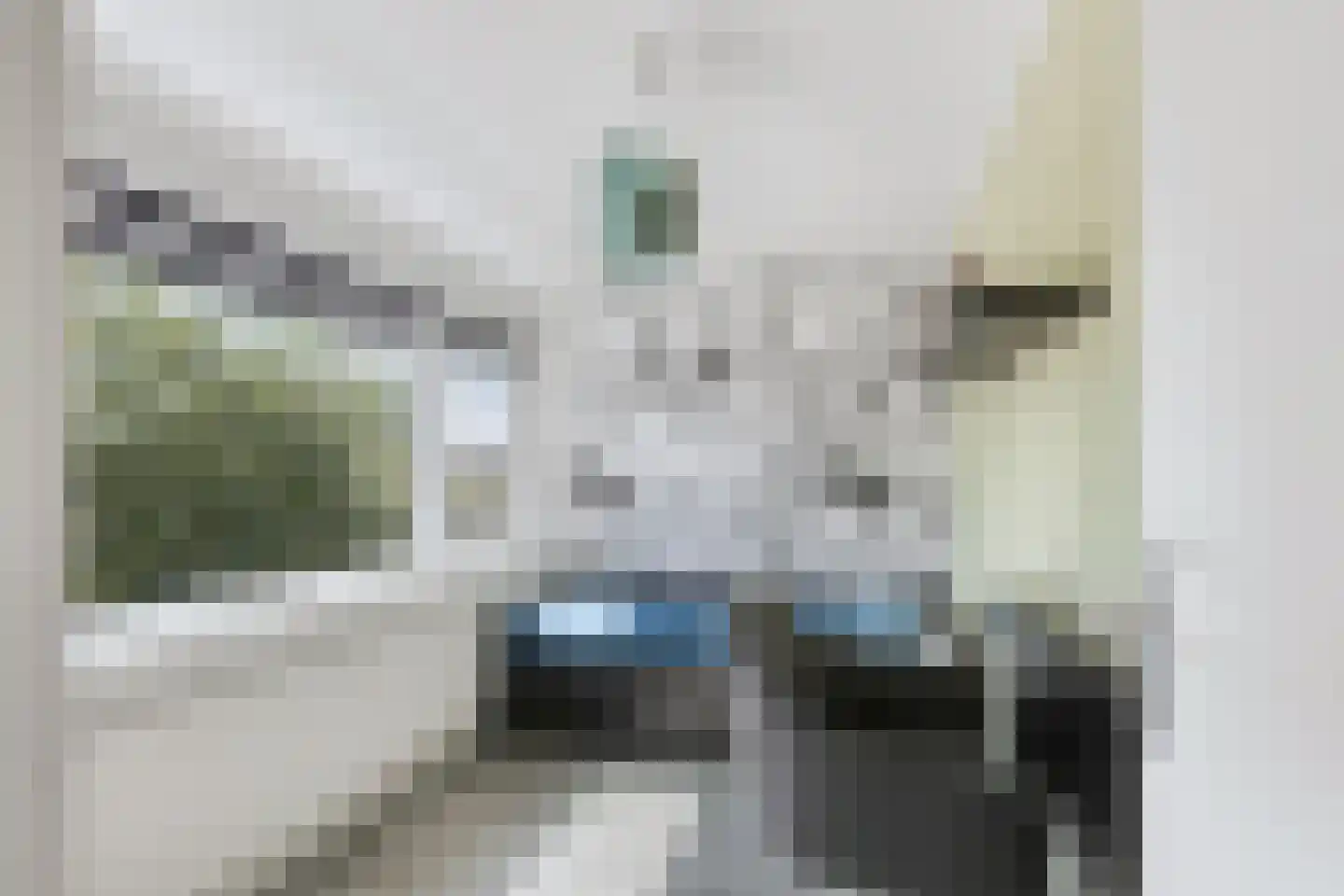 Elzenlaan 12 Sint Pancras thumbnail 25