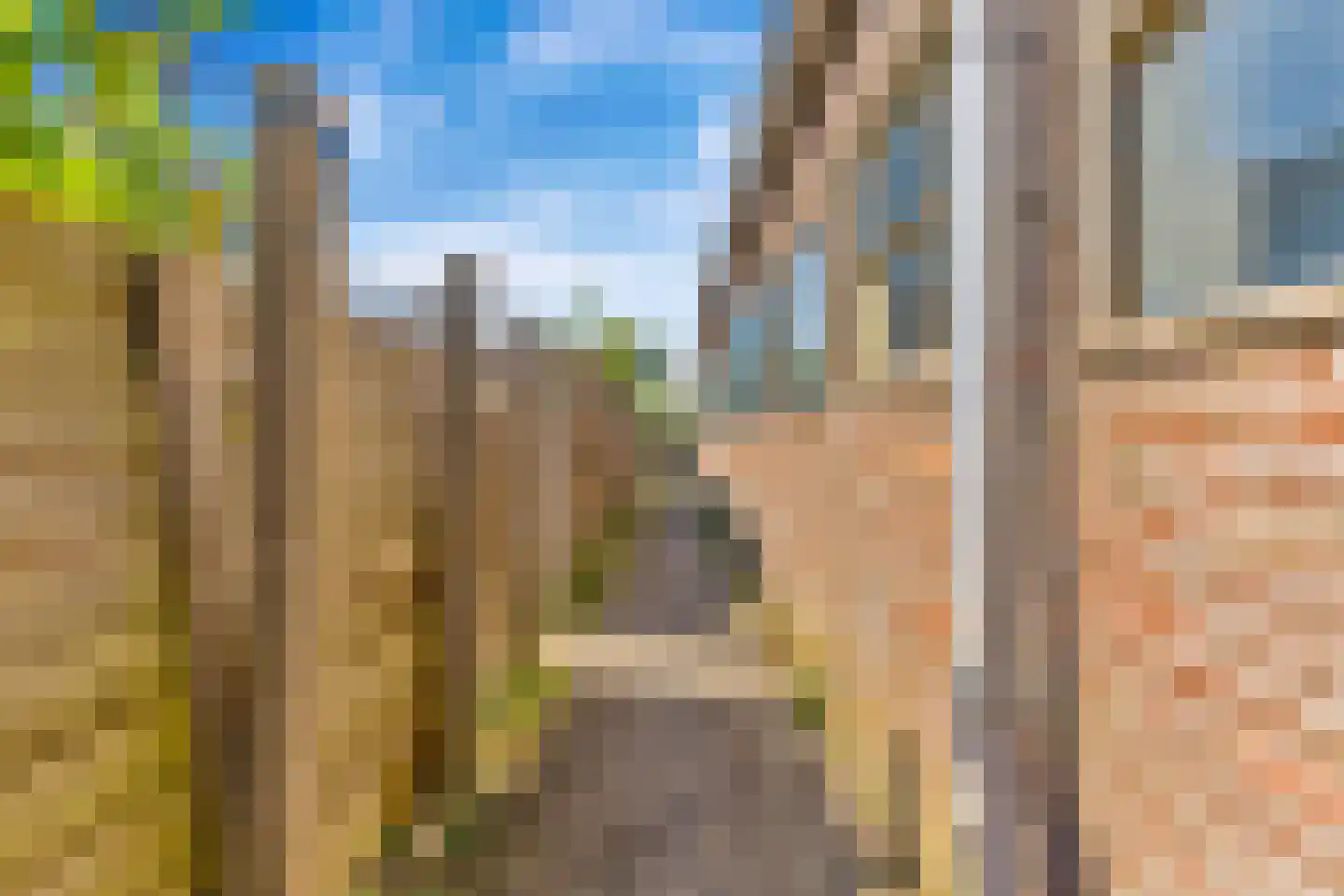 Elzenlaan 12 Sint Pancras thumbnail 35