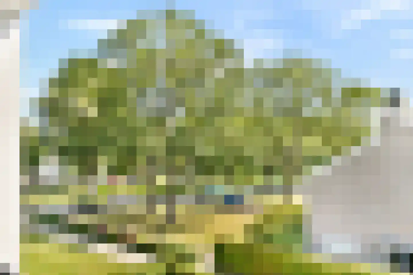 Elzenlaan 124 Dordrecht thumbnail 20