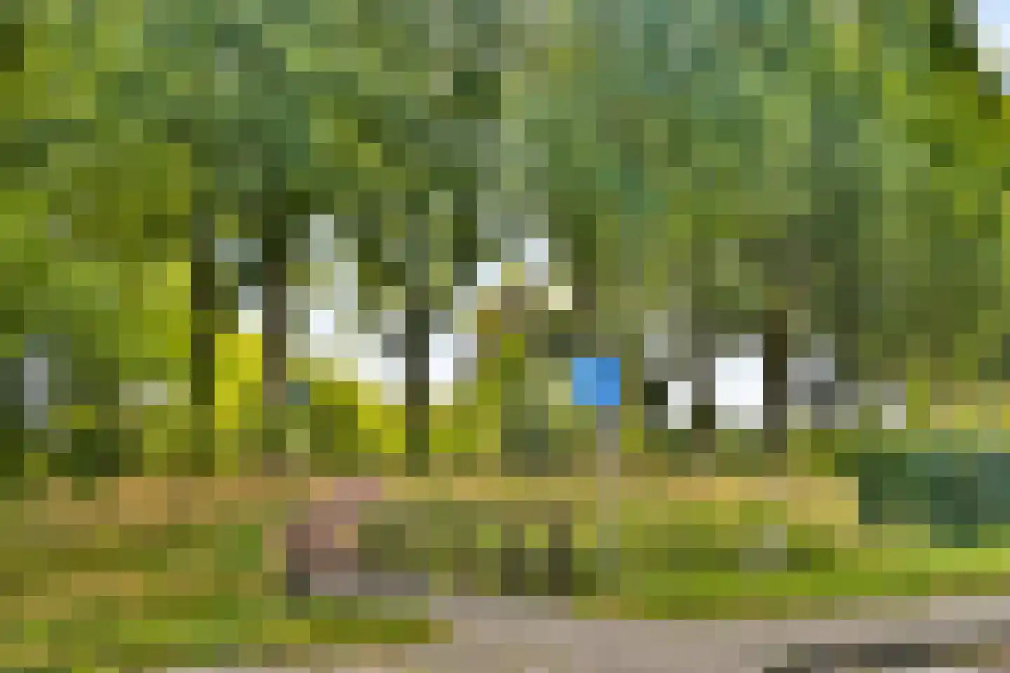 Elzenlaan 124 Dordrecht thumbnail 30