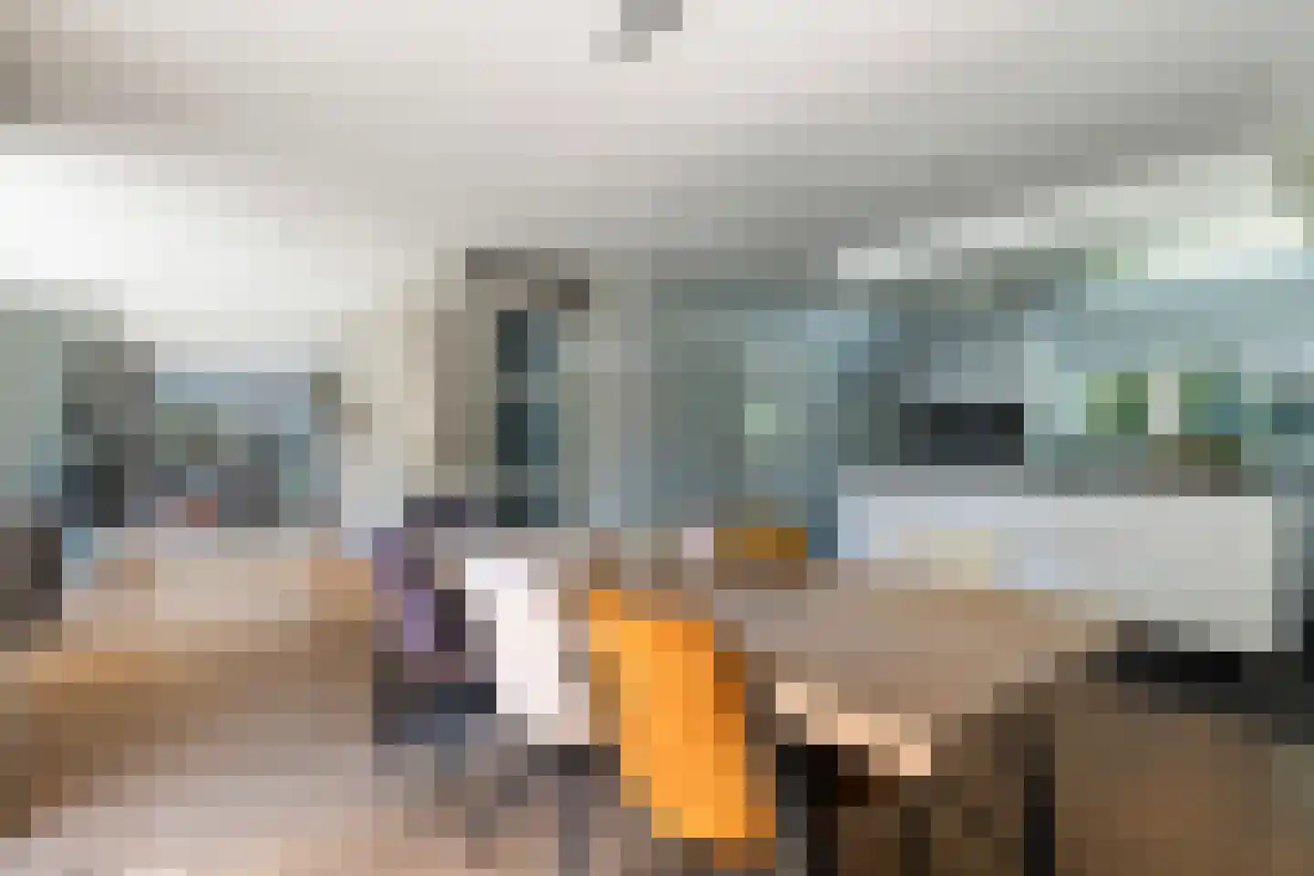 Elzenlaan 13 Apeldoorn thumbnail 12