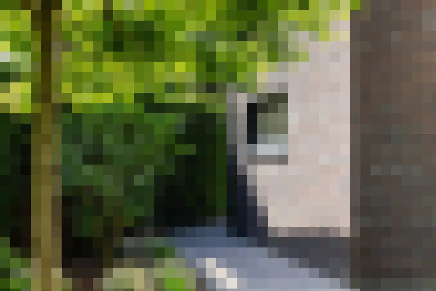 Elzenlaan 13 Apeldoorn thumbnail 33