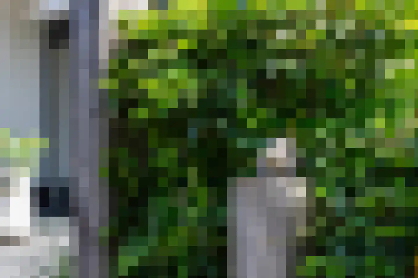 Elzenlaan 13 Apeldoorn thumbnail 35