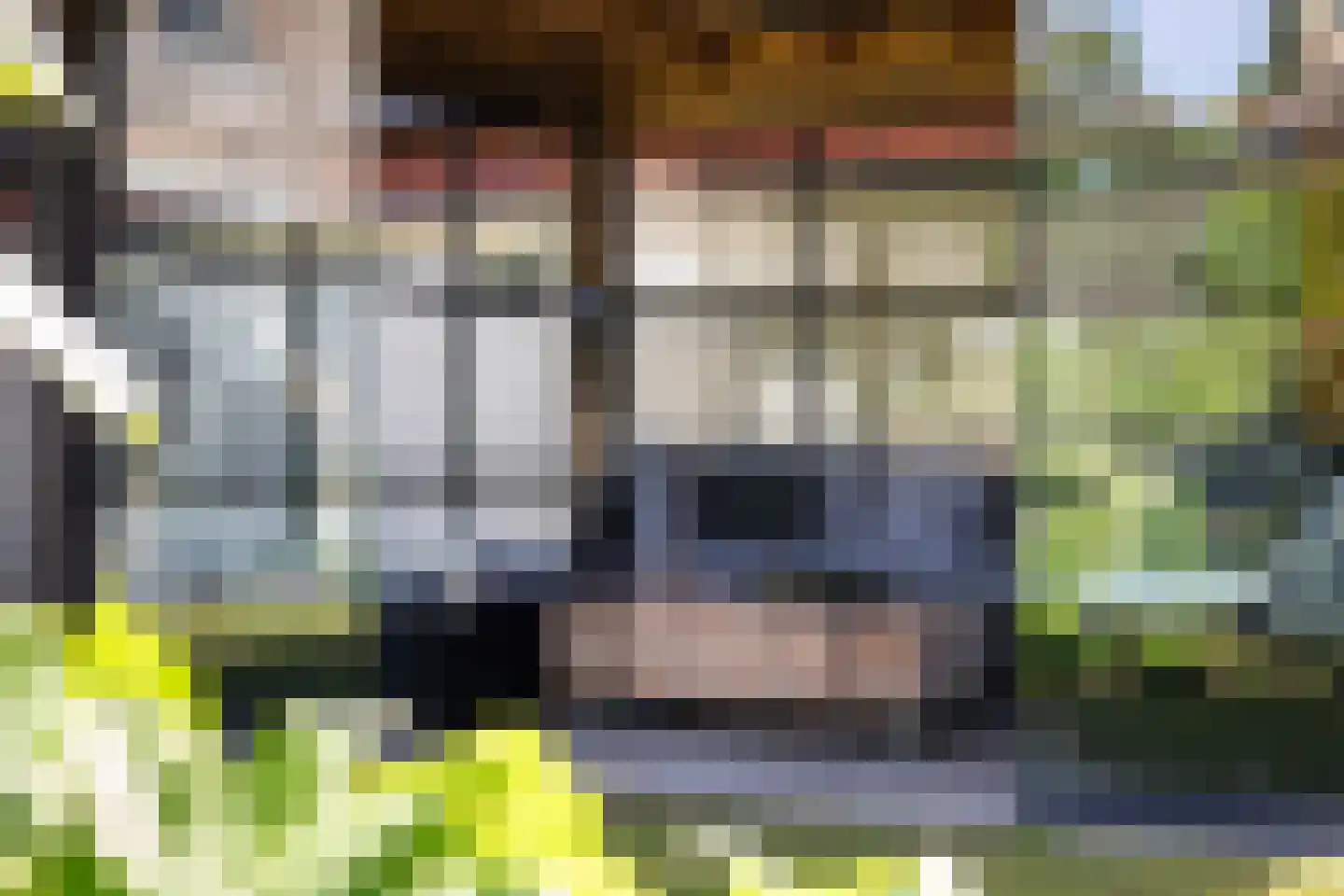 Elzenlaan 13 Apeldoorn thumbnail 42