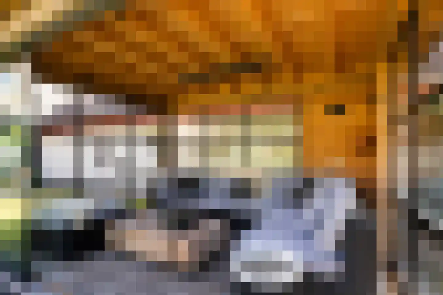 Elzenlaan 13 Apeldoorn thumbnail 43