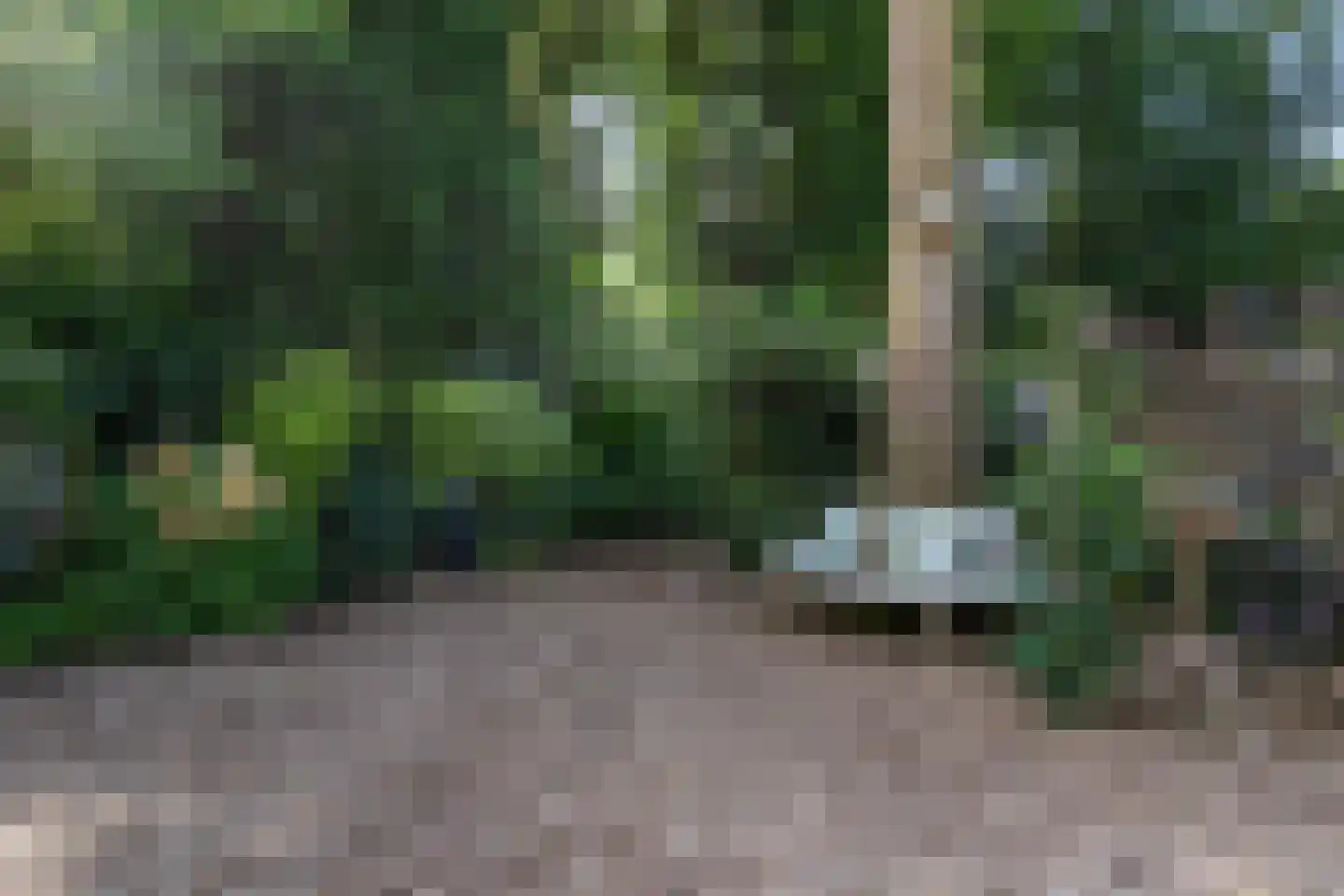 Elzenlaan 13 Apeldoorn thumbnail 44