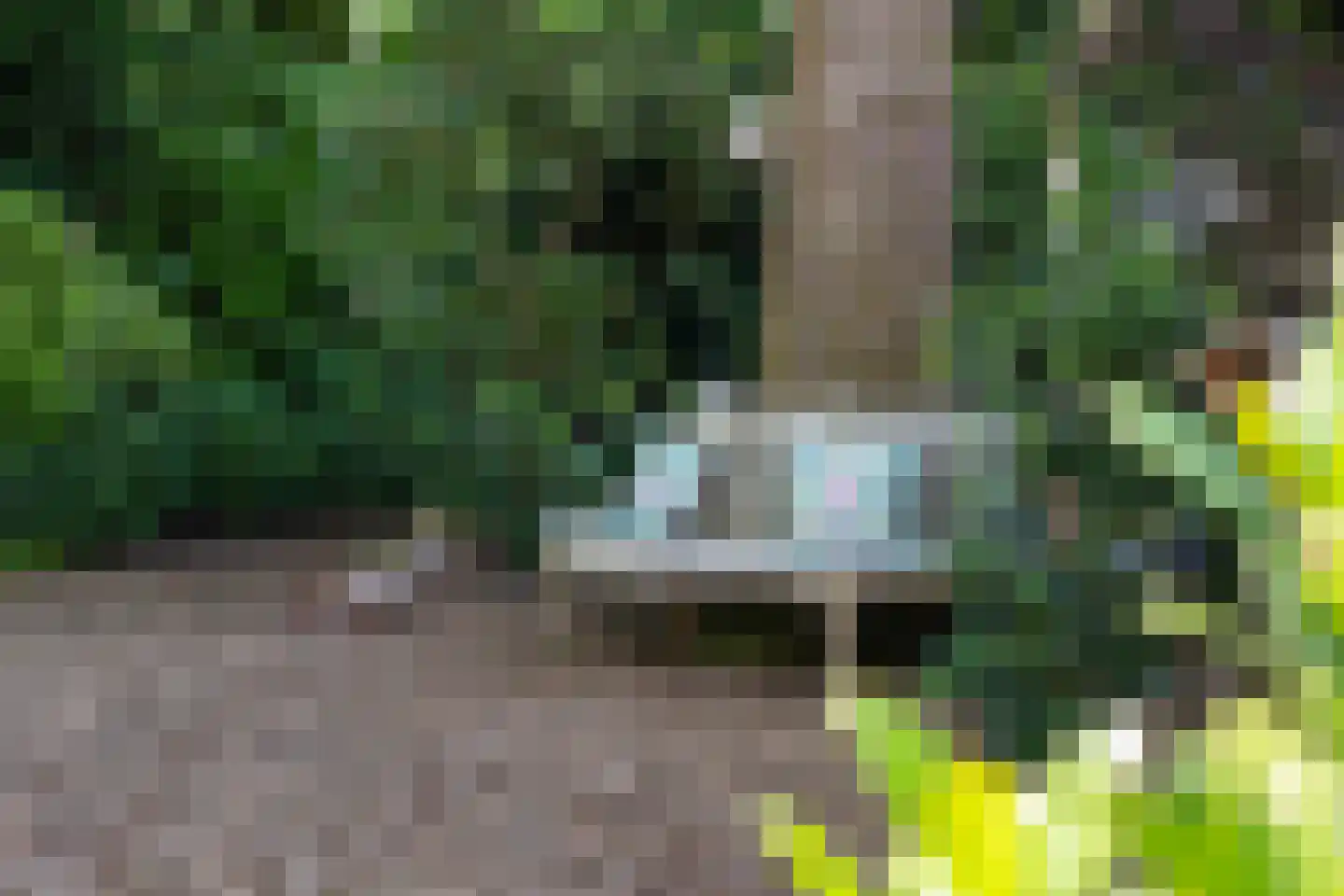 Elzenlaan 13 Apeldoorn thumbnail 45