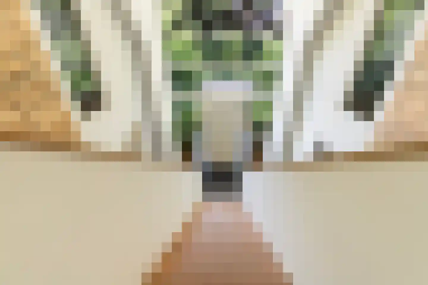 Elzenlaan 13 Apeldoorn thumbnail 47