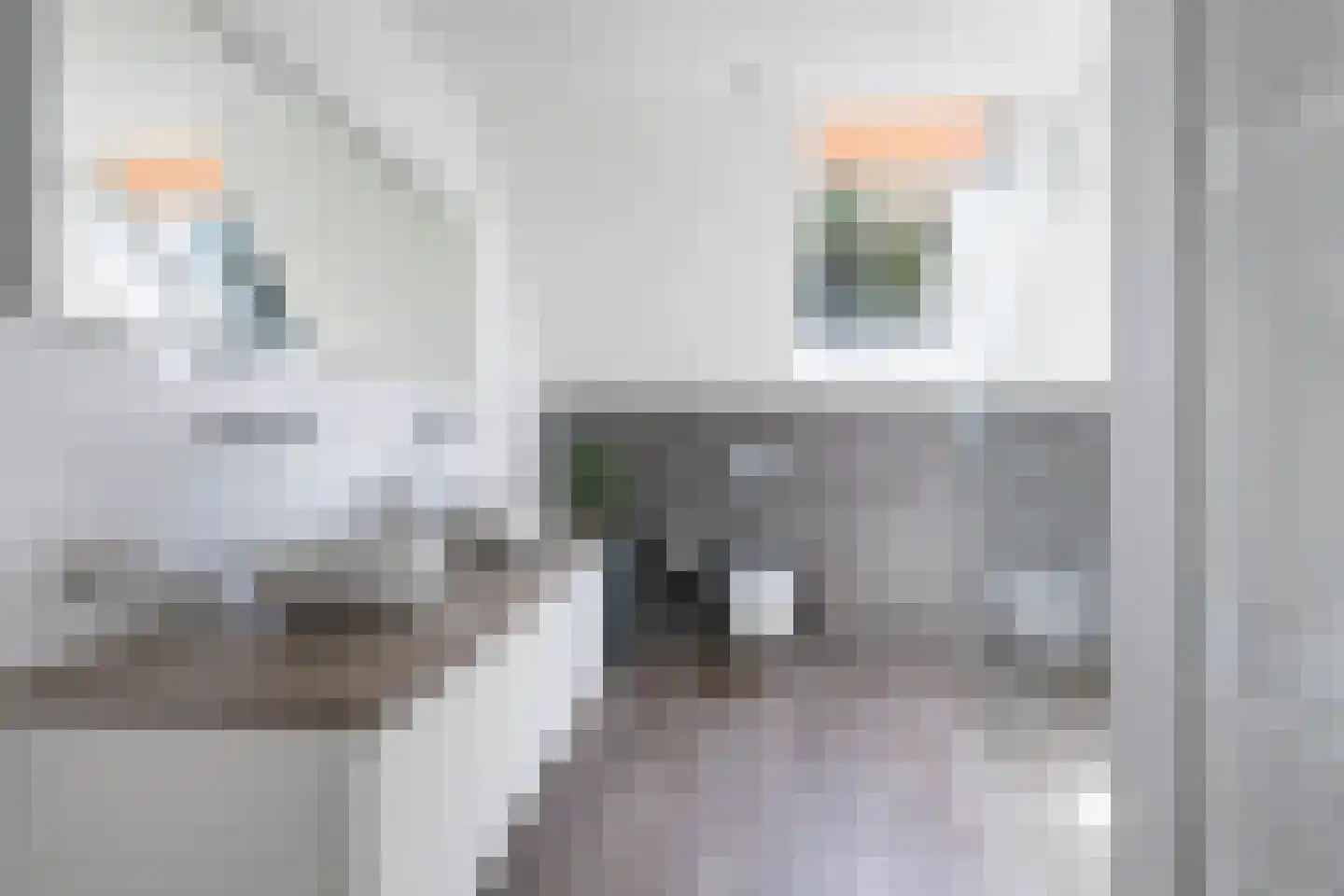 Elzenlaan 13 Apeldoorn thumbnail 58