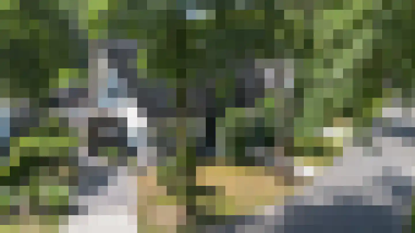 Elzenlaan 13 Apeldoorn thumbnail 72