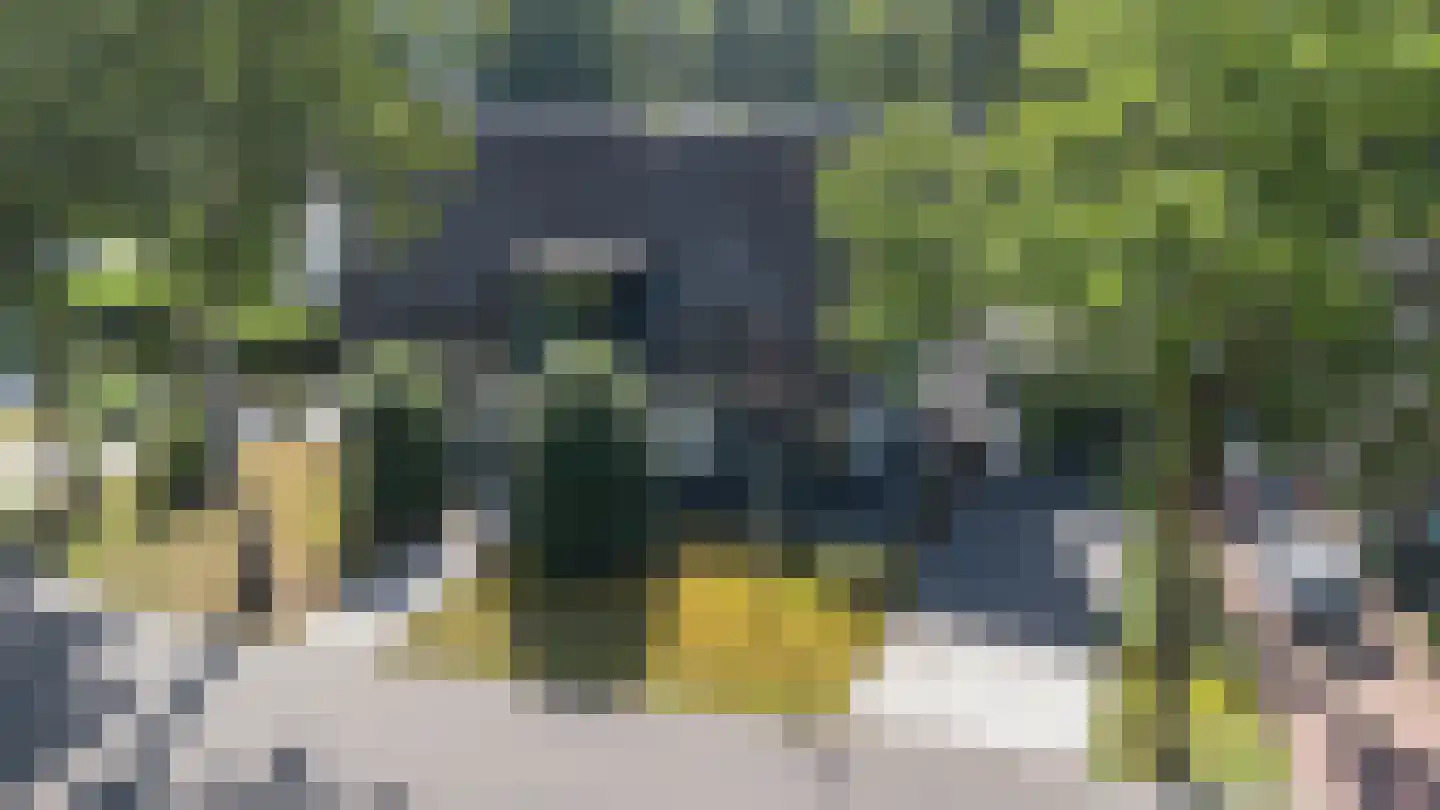 Elzenlaan 13 Apeldoorn thumbnail 73