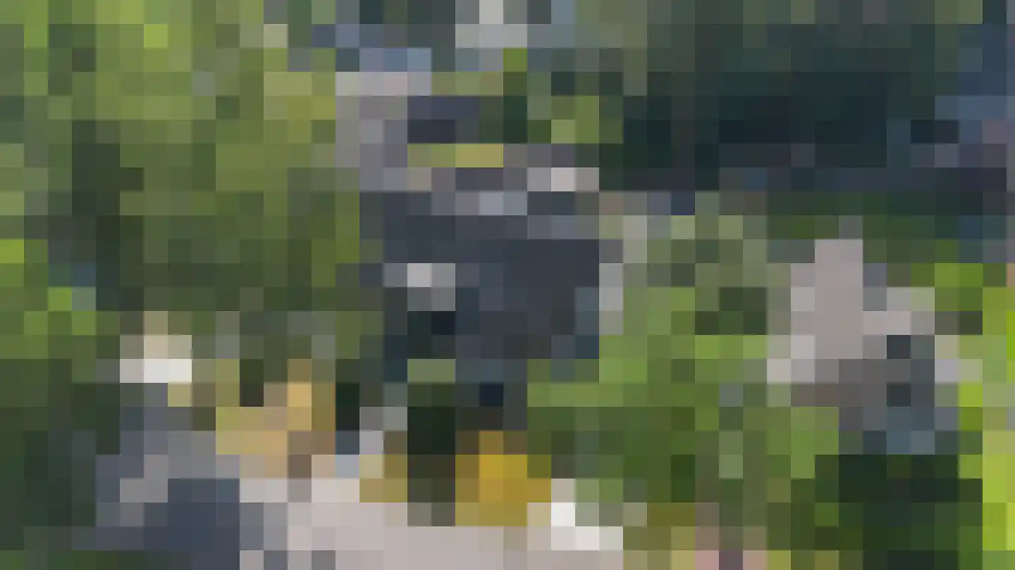 Elzenlaan 13 Apeldoorn thumbnail 74