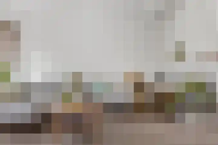 Elzenlaan 131 Groningen thumbnail 10