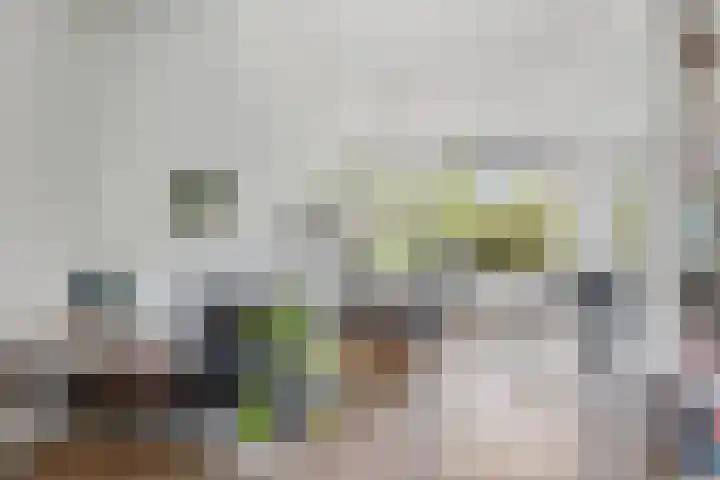 Elzenlaan 131 Groningen thumbnail 12