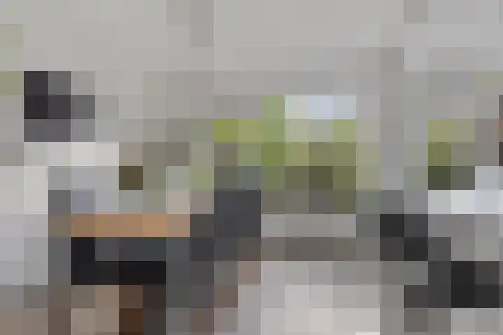 Elzenlaan 131 Groningen thumbnail 13