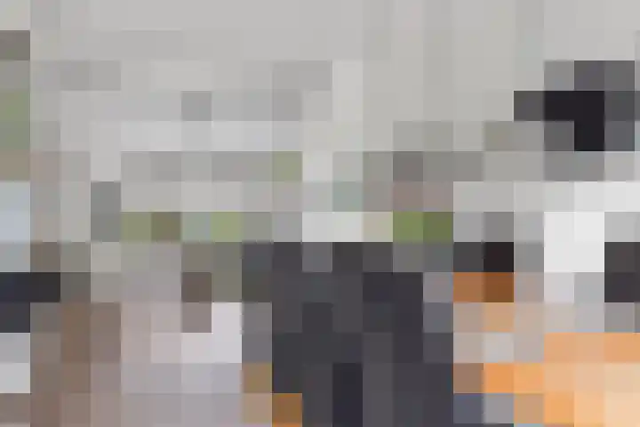 Elzenlaan 131 Groningen thumbnail 14