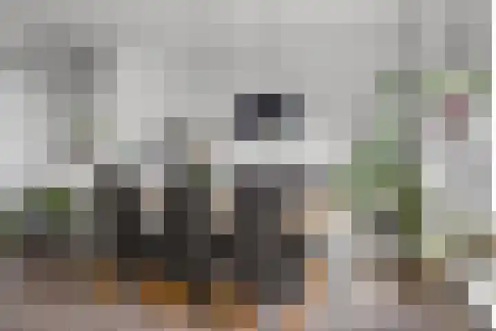 Elzenlaan 131 Groningen thumbnail 15