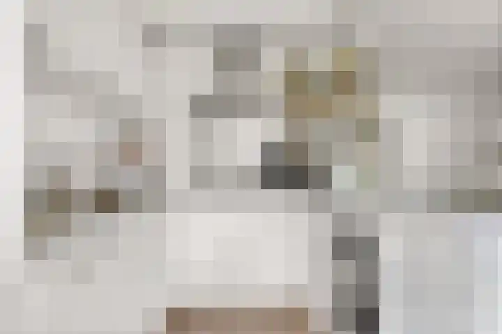Elzenlaan 131 Groningen thumbnail 18