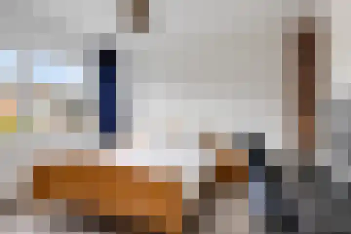 Elzenlaan 131 Groningen thumbnail 19