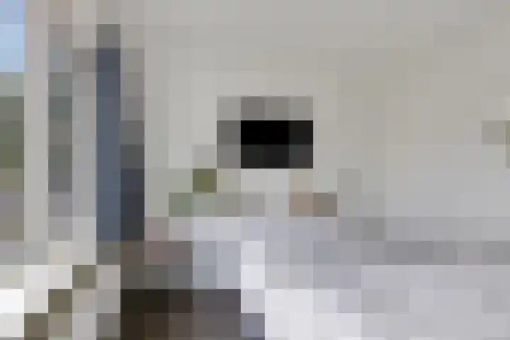 Elzenlaan 131 Groningen thumbnail 27