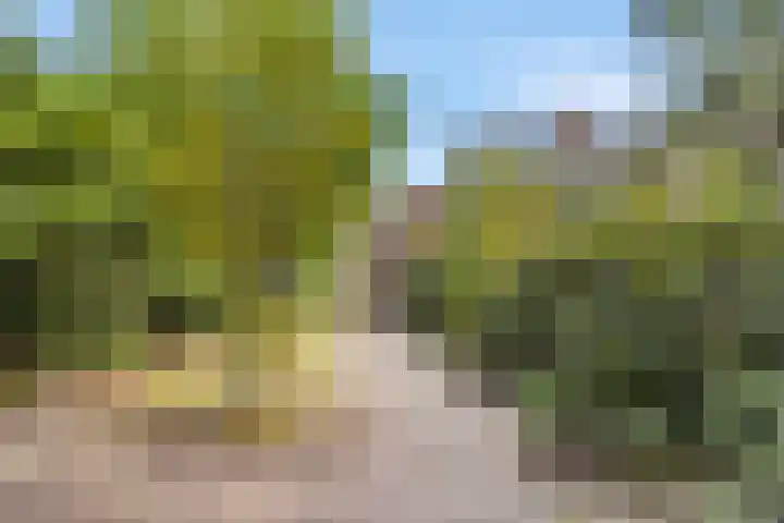 Elzenlaan 131 Groningen thumbnail 33