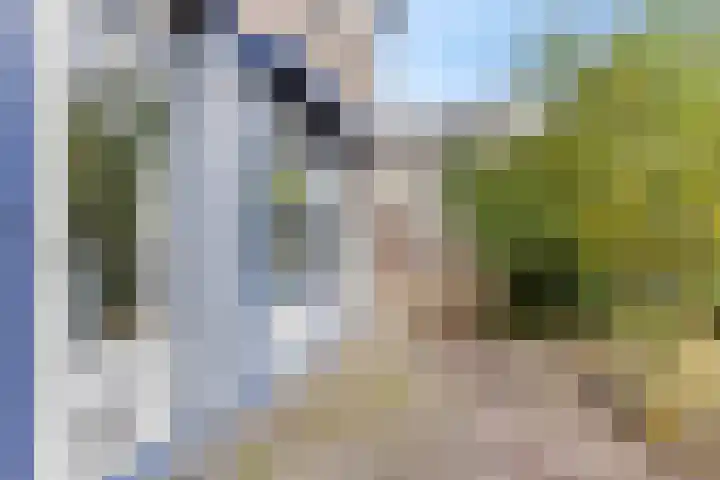 Elzenlaan 131 Groningen thumbnail 34