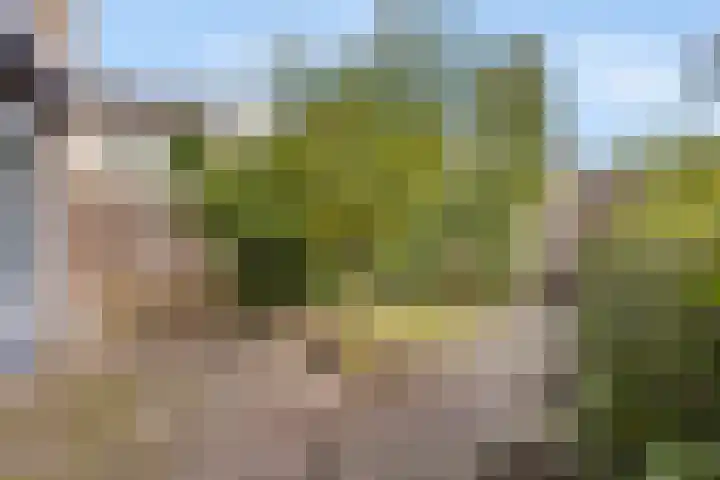 Elzenlaan 131 Groningen thumbnail 35